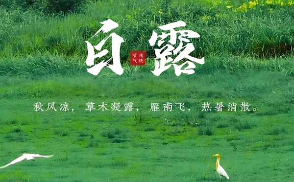 且末白露清新，新创洁与您共享洁净之美
